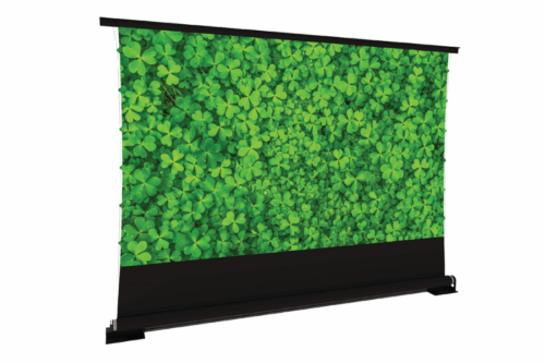 projection screen for videoprojection ascension from floor to up ceiling